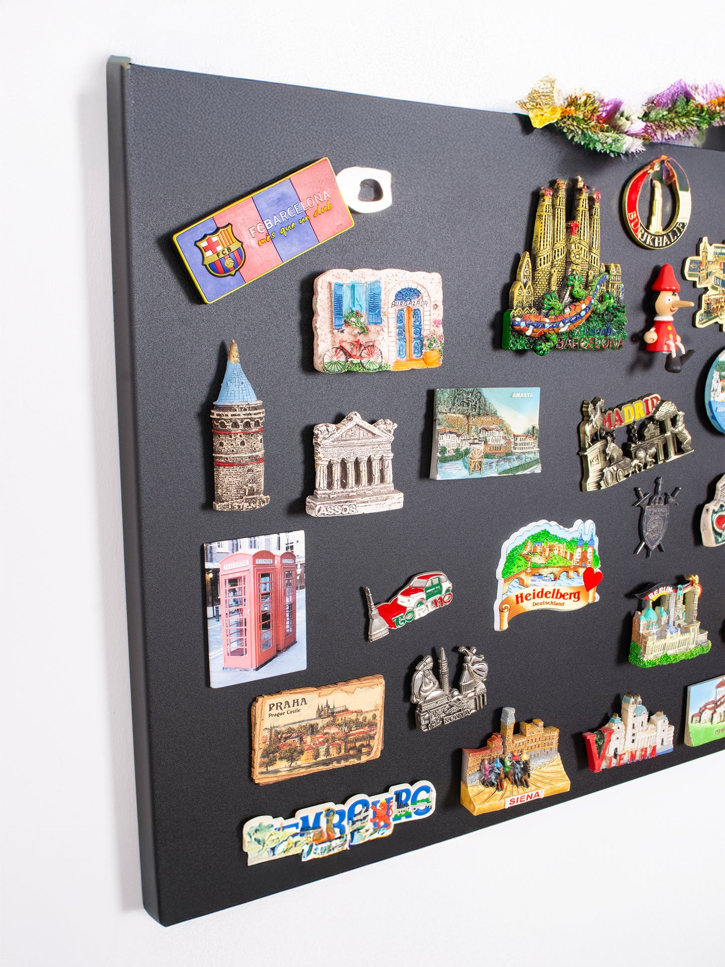 Metal Magnet Panosu